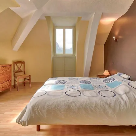 Au Nid Du Gypaéte Oiseau Local Bedous