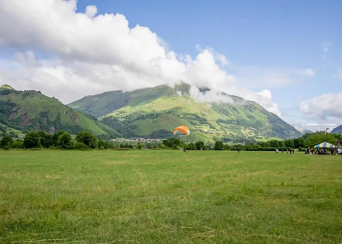 Au Nid Du Gypaete Oiseau Local